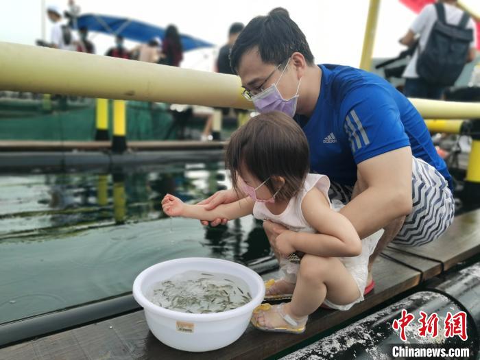 深圳放流一批当地斑节对虾苗及黑鲷鱼苗