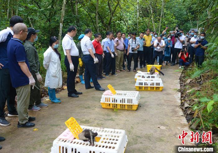 广西放归一批陆生野生动物人工繁育产业有序转型