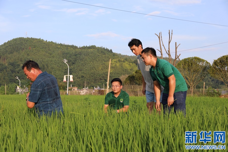 江西寻乌高布村“新农人”：不负青春不负村