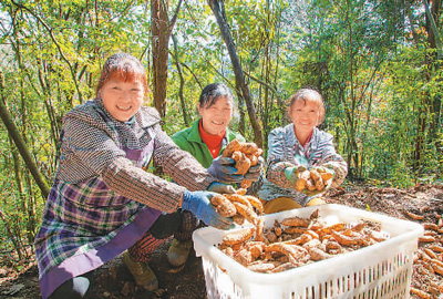 就业扶贫，让大家有活干有钱赚