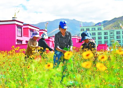 脱贫攻坚为雪域高原的发展奠定坚实基础