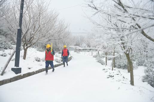 冰雪中的逆行者