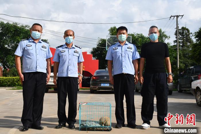 云南瑞丽：蜂猴挡道“求助”边检民警伸出援手