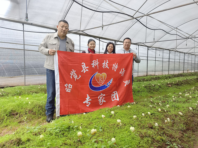 新生活新奋斗的起点——各地巩固脱贫成果衔接推进乡村振兴