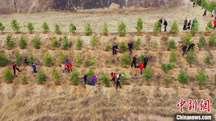 图为榆中县开展义务植树活动。(资料图) 彭昱 摄