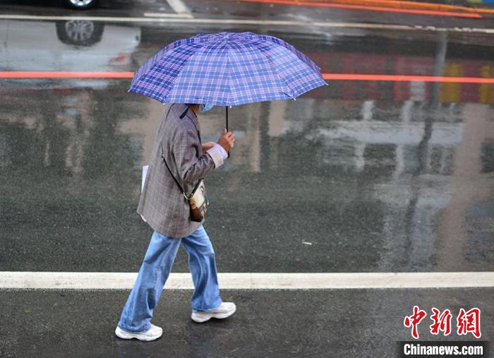 白露迎秋雨吉林气温骤降候鸟集群