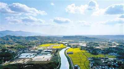 中国乡村加快铺展新图景