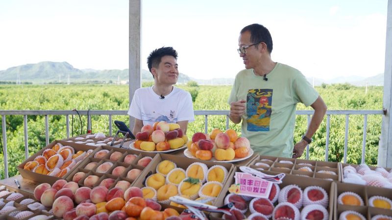 直播带货打开北京平谷大桃销路 公益助农再现创新形式