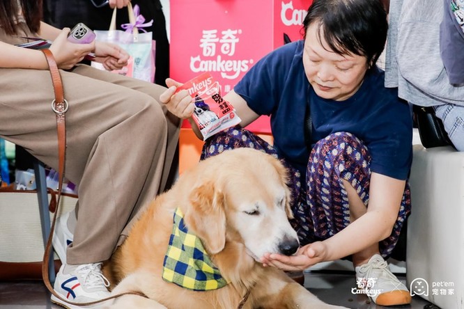 看奇助力导盲犬公益项目启动