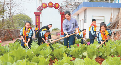 开展劳动教育，助力健康成长