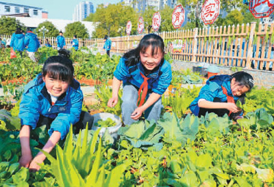 开展劳动教育，助力健康成长