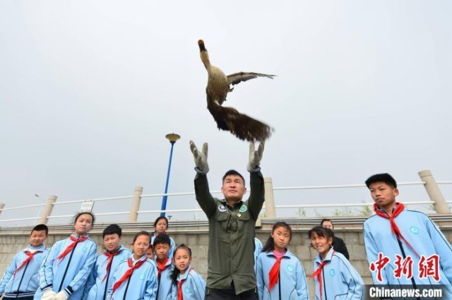 山东青岛：第42届爱鸟周启动