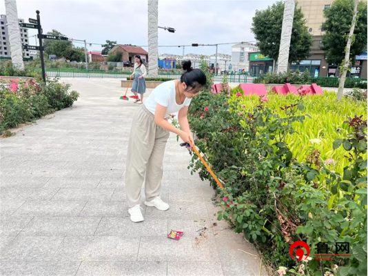 【迎七一 强党性 建新功】德州市陵城区糜镇明德小学党支部组织开展志愿服务活动