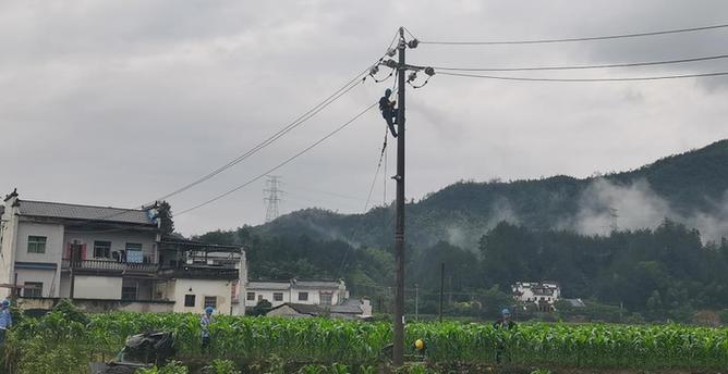 聚焦防汛抗旱丨保粮油、保蔬菜、保供电……他们坚守在汛期保供一线